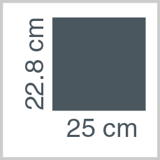 Sheet dimensions: 22.8 x 25 cm
